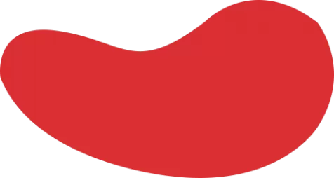 开云·体育中文网_开云APP下载_KAIYUN SPORTS